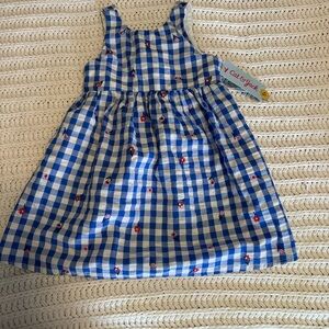 Cat & Jack Blue and White Gingham Dress with Red Accents